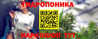 шишки Моздок