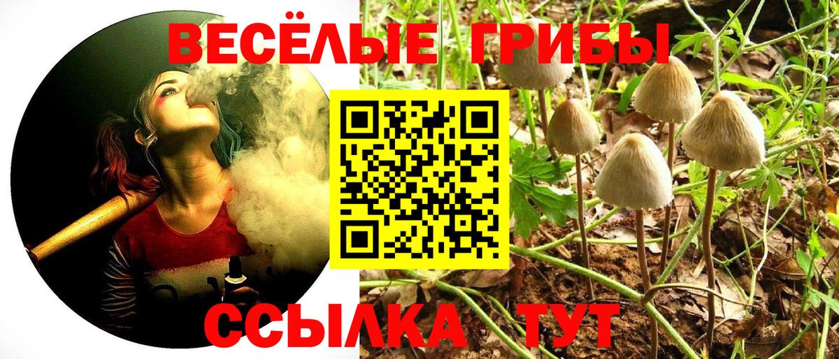Галлюциногенные грибы мухоморы Арсеньев